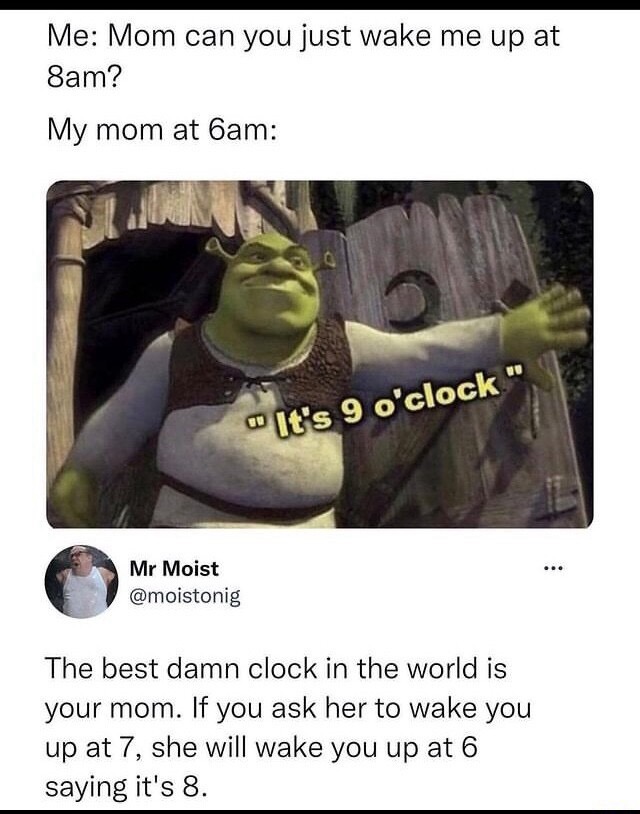Mom the best alarm - meme