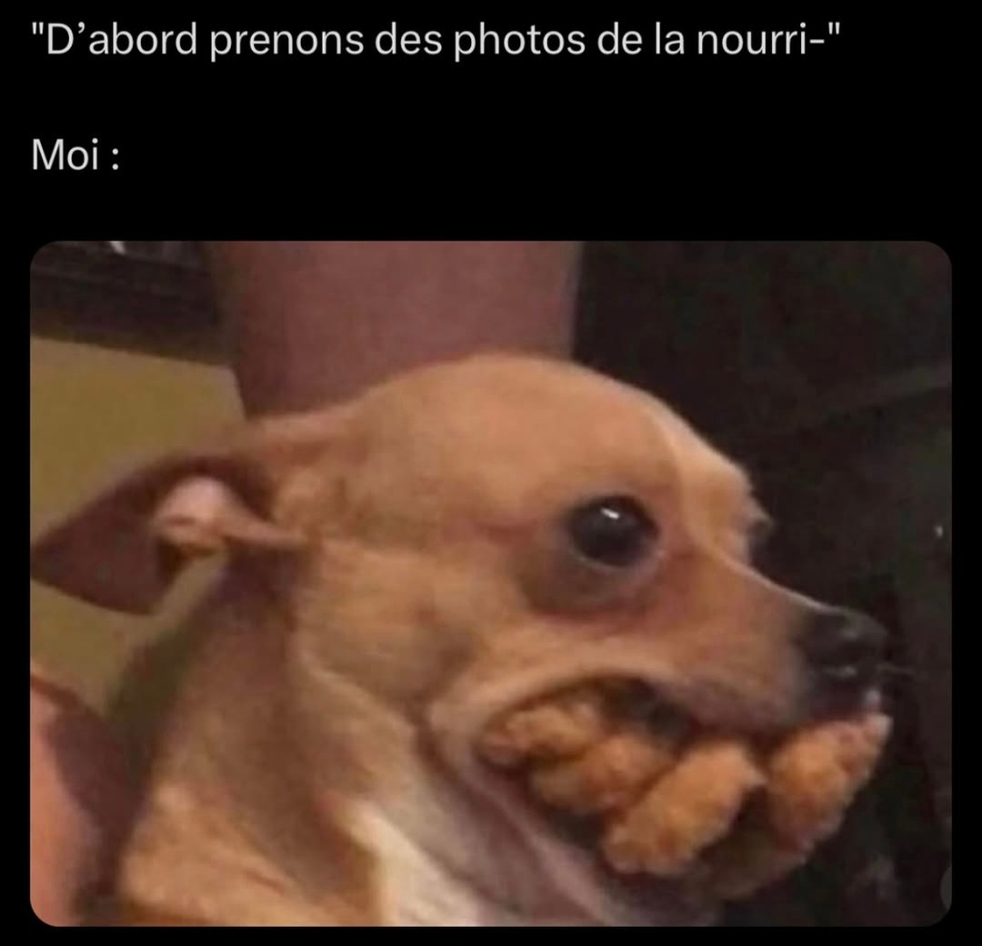 Moi j'veux juste manger chaud mais elle veut un shooting Michelin - meme