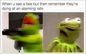 Kermit the frog bees - meme