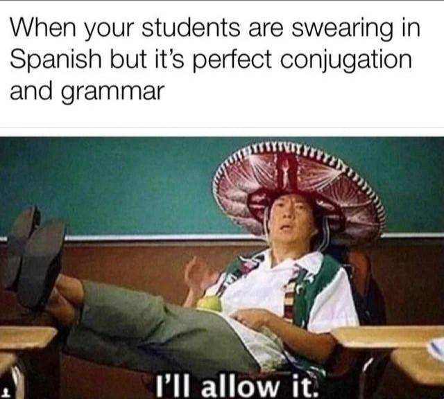 When your students are swearing in Spanish but it's perfect conjugation and grammar - meme