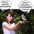How to kill a Mockingbird