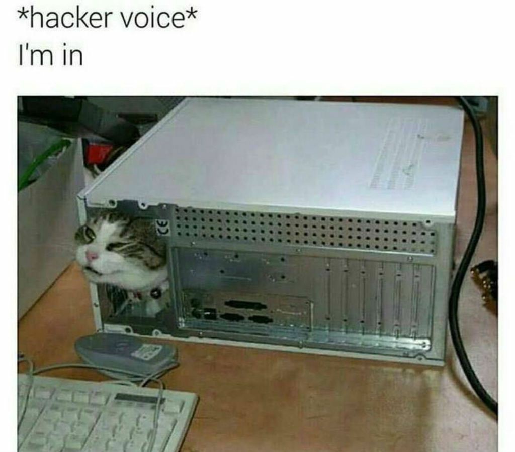 The hacker - meme