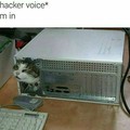 The hacker