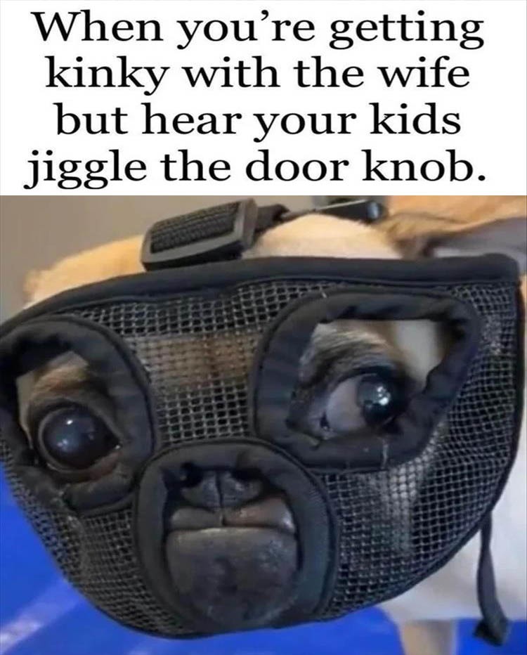 Title - meme