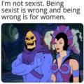 sexist meme