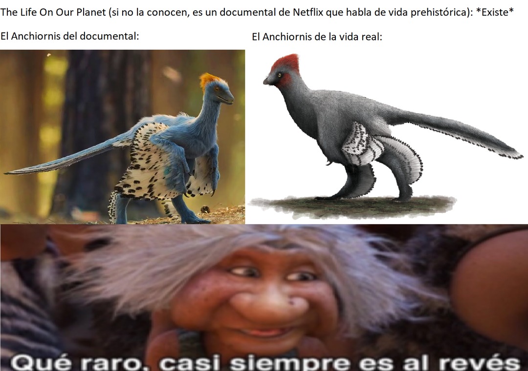 El anchiornis era negro, con alas blancas y detalles negros y cresta roja, pero el de Netflix es blanco azulado, lo que es raro en parte de Netflix, - meme