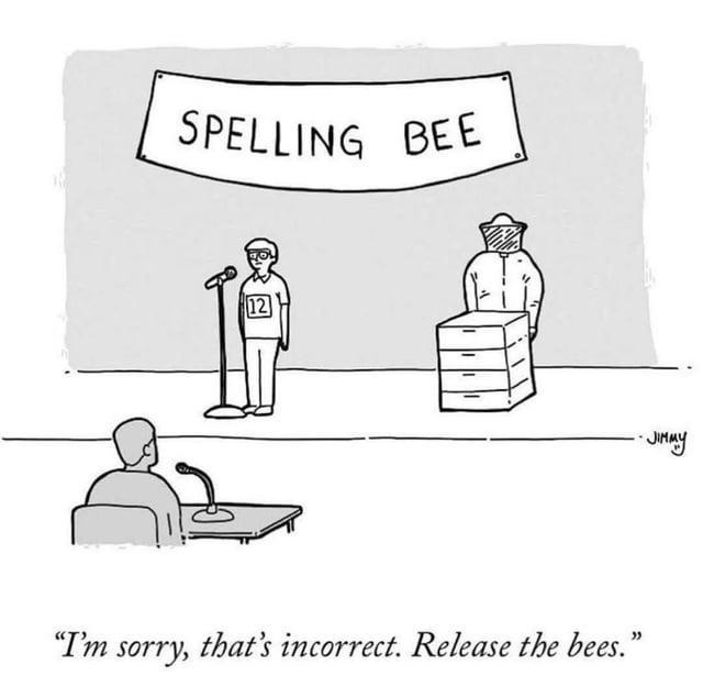 Spell sorry wrong and face the bees - meme