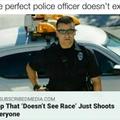 The best cop