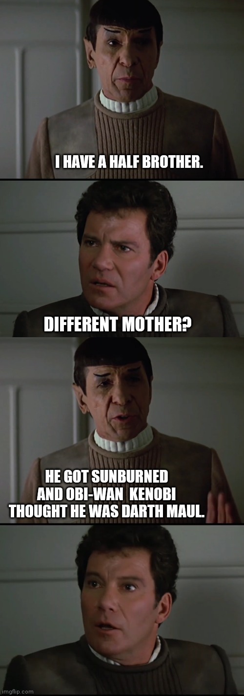 Spock did have a half brother - meme