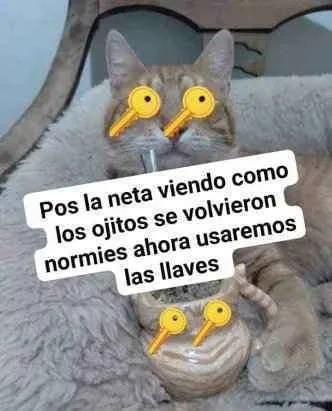 titulo - meme