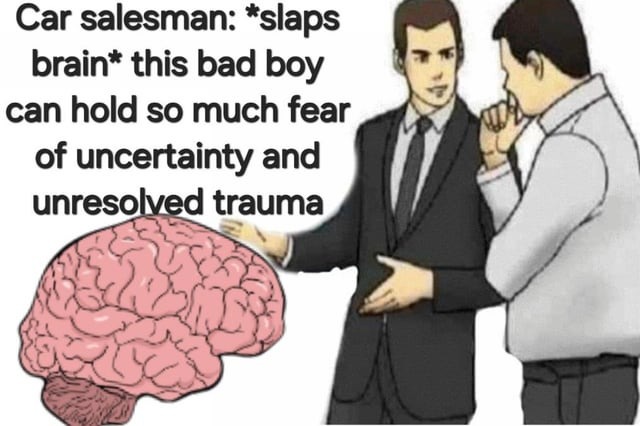Car salesman selling my brain - meme