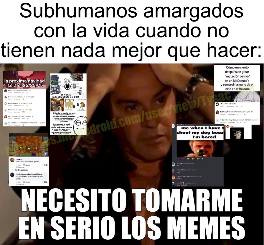 son memes, MEMES, es decir, literalmente significa "algo que se imita"