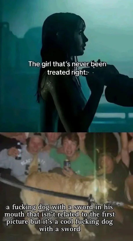 Girl who’s never been treated right meets dog with a sword, vibes - meme