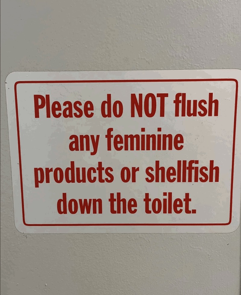 What am I supposed to with the 3 seashells - meme