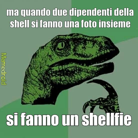 shell - meme