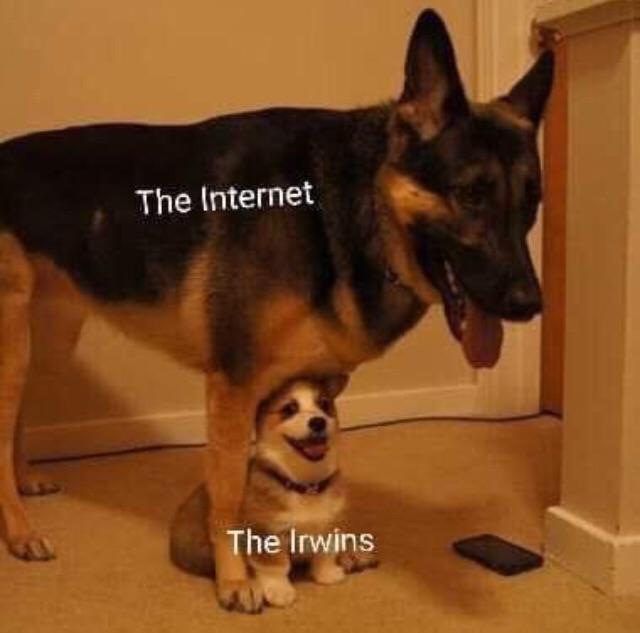 Cute - meme