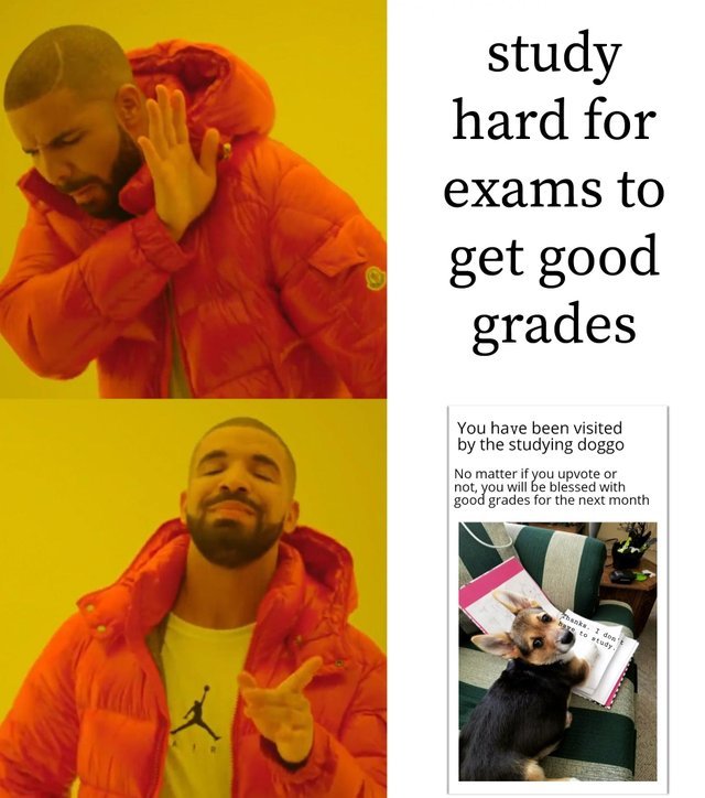 Good luck with your exams - meme