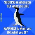 Success vs Happiness