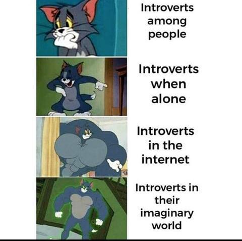 Introvert power - meme