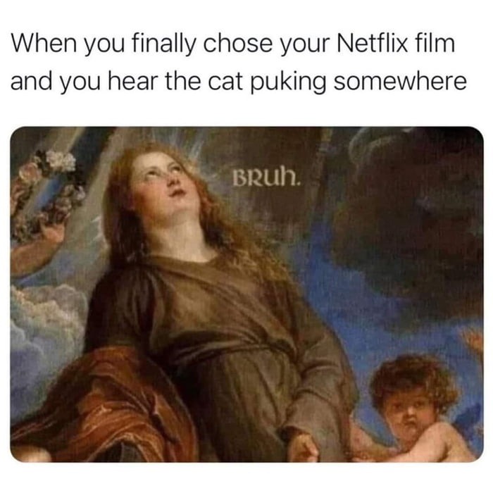 Netflix sucks anyway - meme