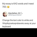 3rd Comment Has Never Written a Essay