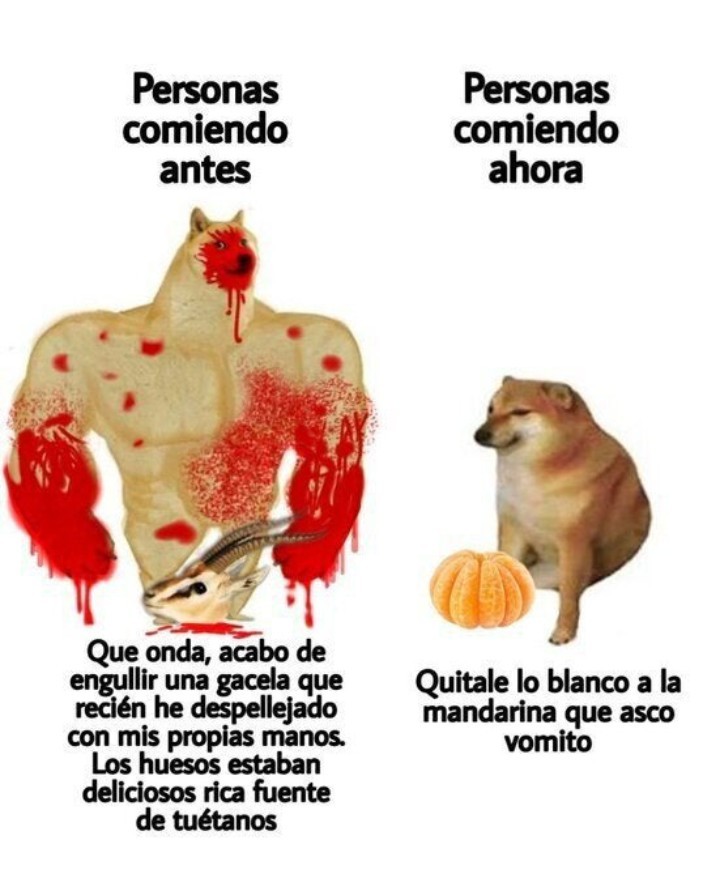 Veganos chupan pico - meme