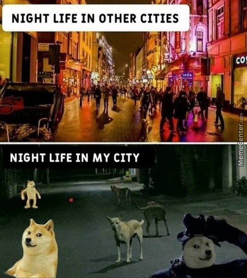 Night life - meme