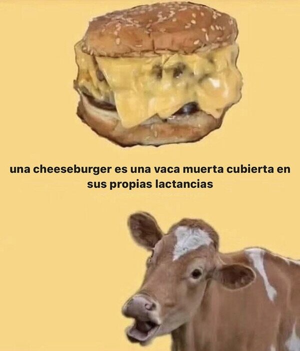 Cheeseburgers - meme