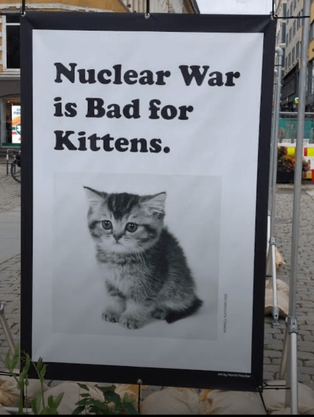 Nuclear war is bad for kittens - meme