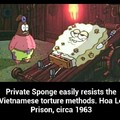 Sponge privates