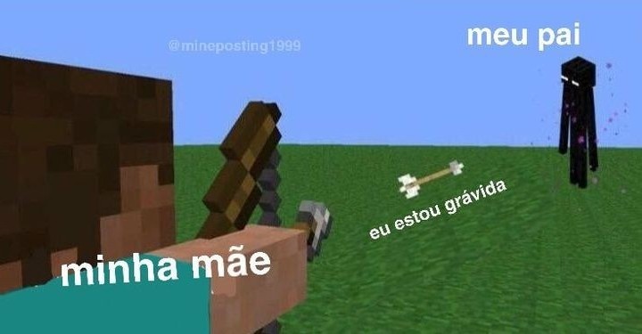 Estou grávida - meme