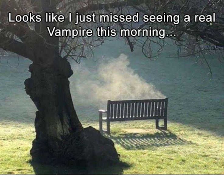 J'ai raté la mort d'un vampire ce matin - meme