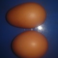 Me encontré este huevo raro, nótese la diferencia