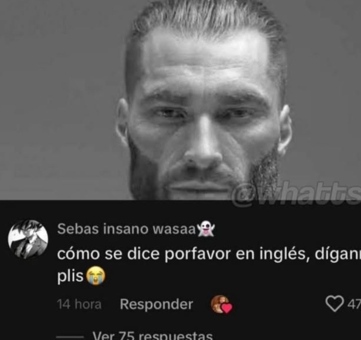 Plis - meme