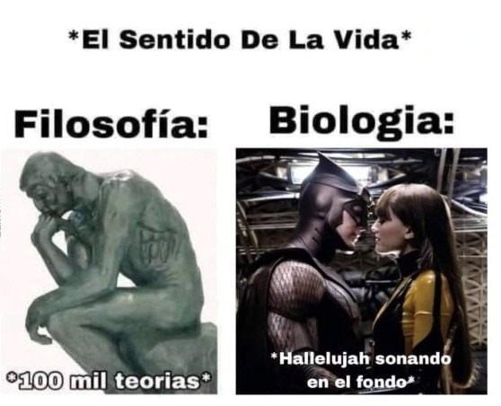 El sentido de la vida según cada ciencia y Hallelujah de fondo - meme