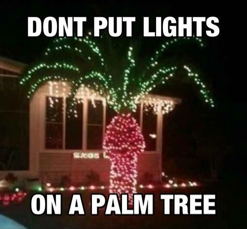 Do put lights on a palm tree - meme