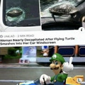God dammit Luigi
