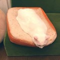 Loncha de gato queso