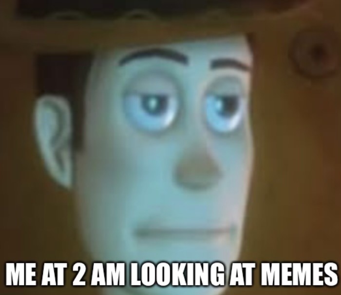 I have a license to be stupid - meme