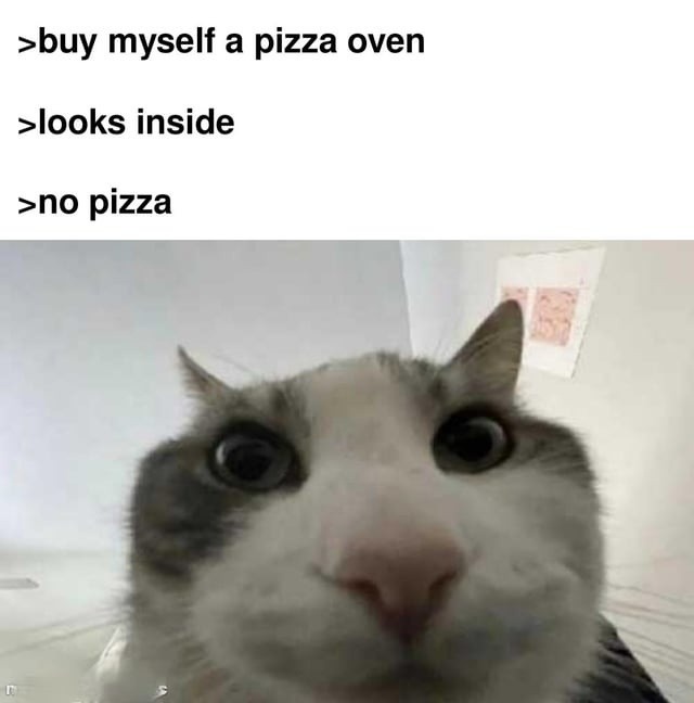 Bought a pizza oven. Forgot the pizza. - meme