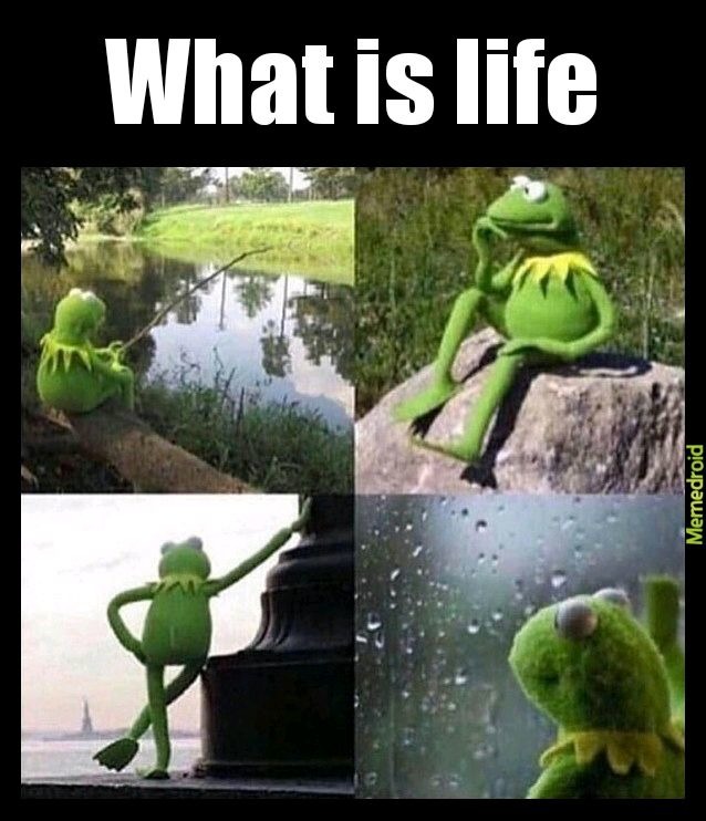 What is life - meme