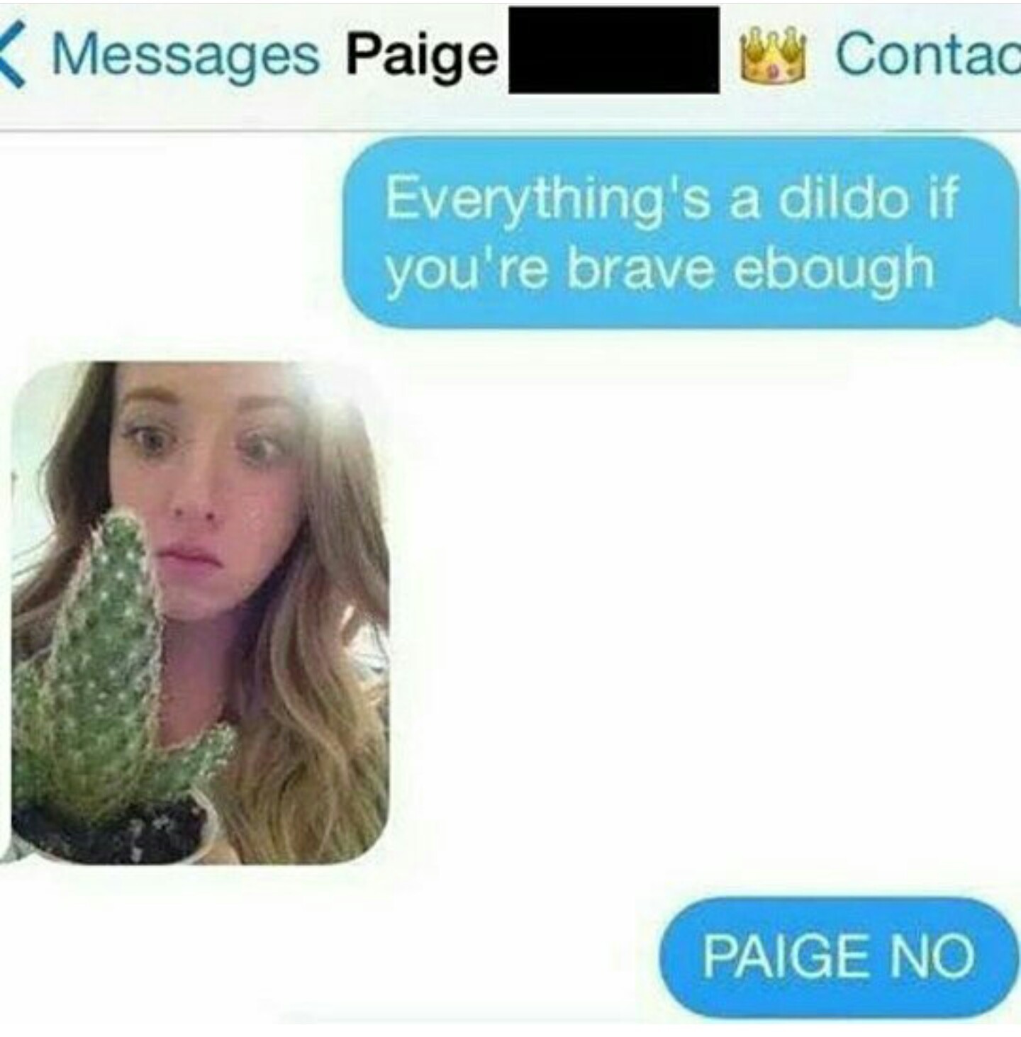 RIP Paige. - meme