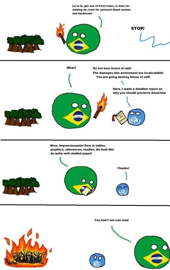 Brazil forest burning - meme