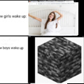 Girls vs boys meeme