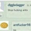 antfucker98