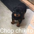 Chop chikito