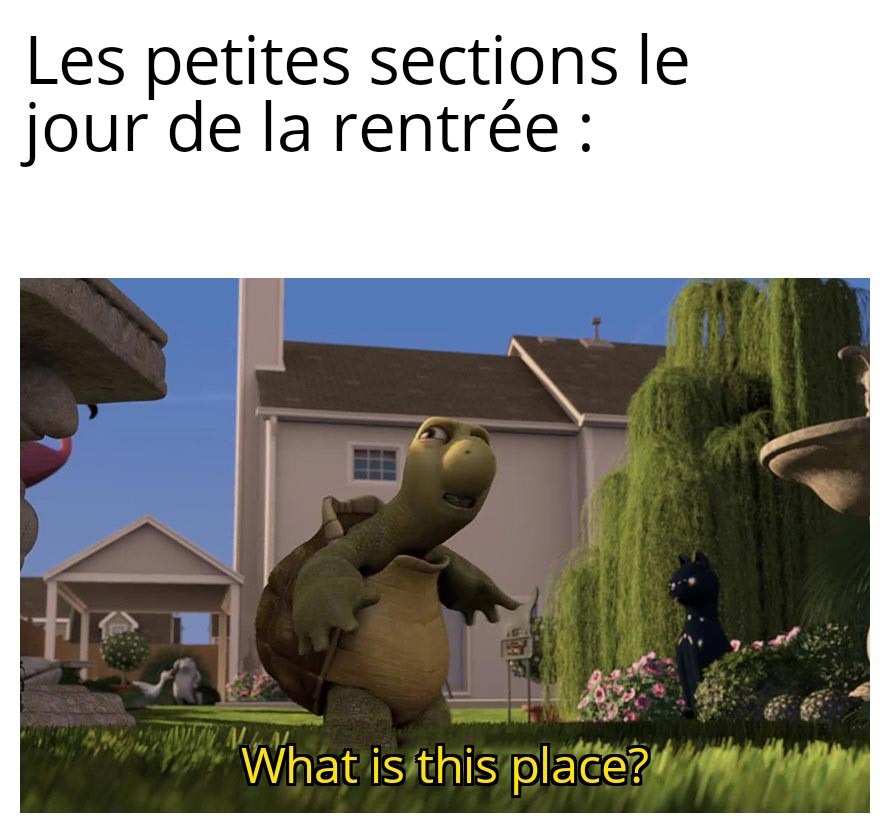 What is this place ? - meme