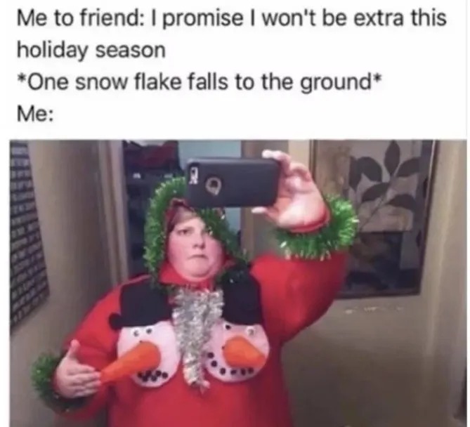 Christmas enjoyer - meme