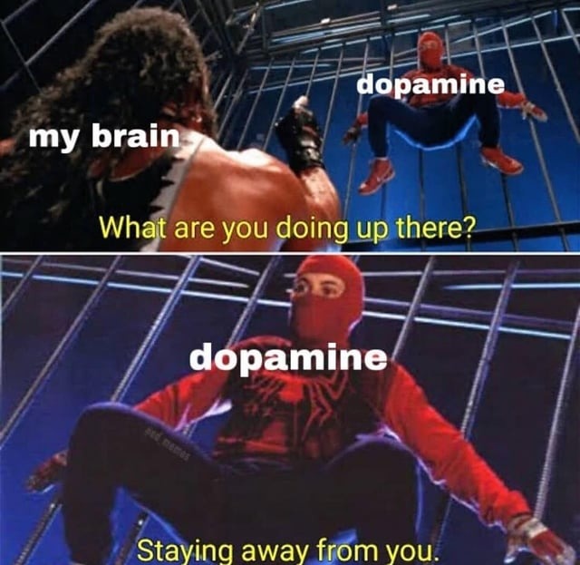 Seeking dopamine? - meme