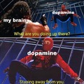 Seeking dopamine?